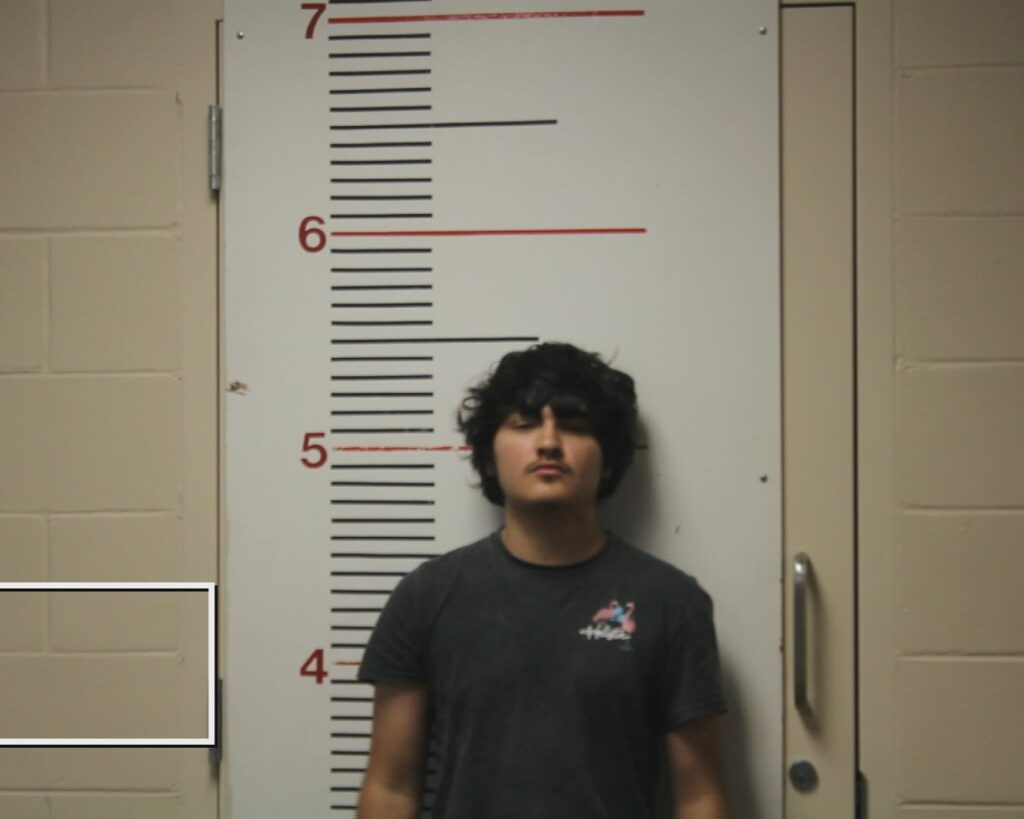 RUIZ, HARLEY DAVIS arrested in Anderson County, Texas mugshot