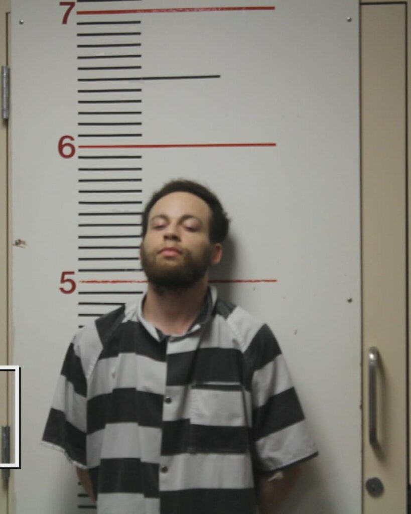 WILLIAMS, GEVON W arrested in Anderson County, Texas mugshot