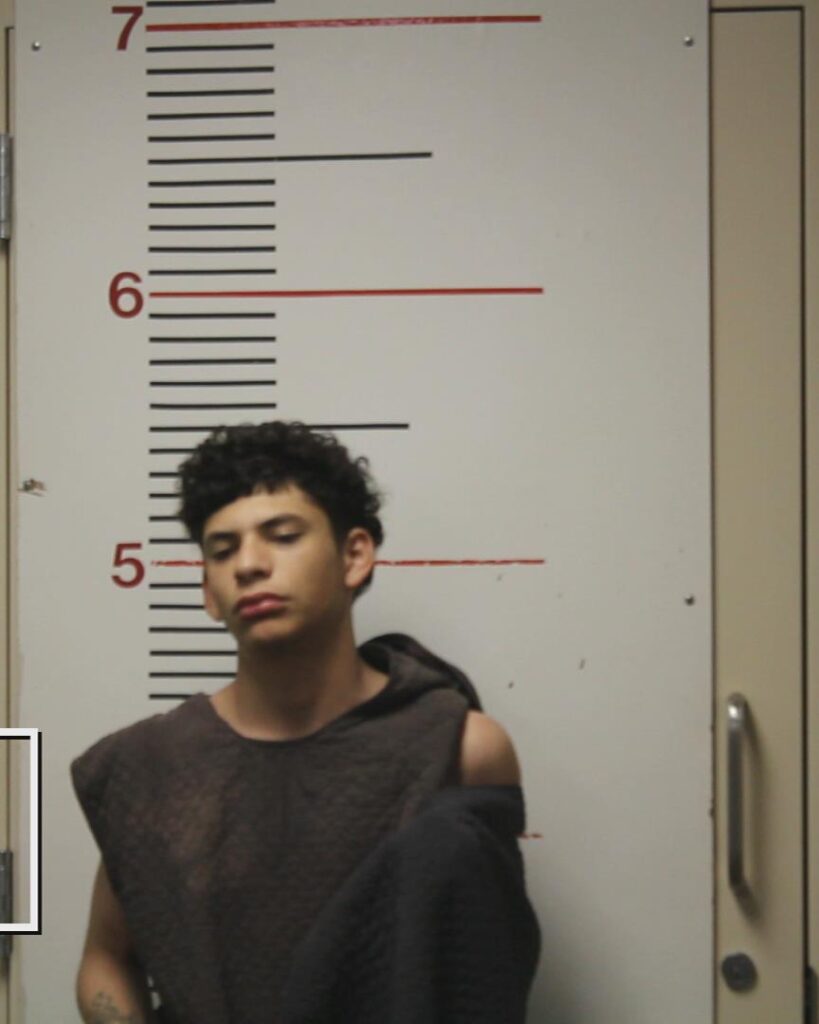 SIMIEN, DAIMEAN JON arrested in Anderson County, Texas mugshot