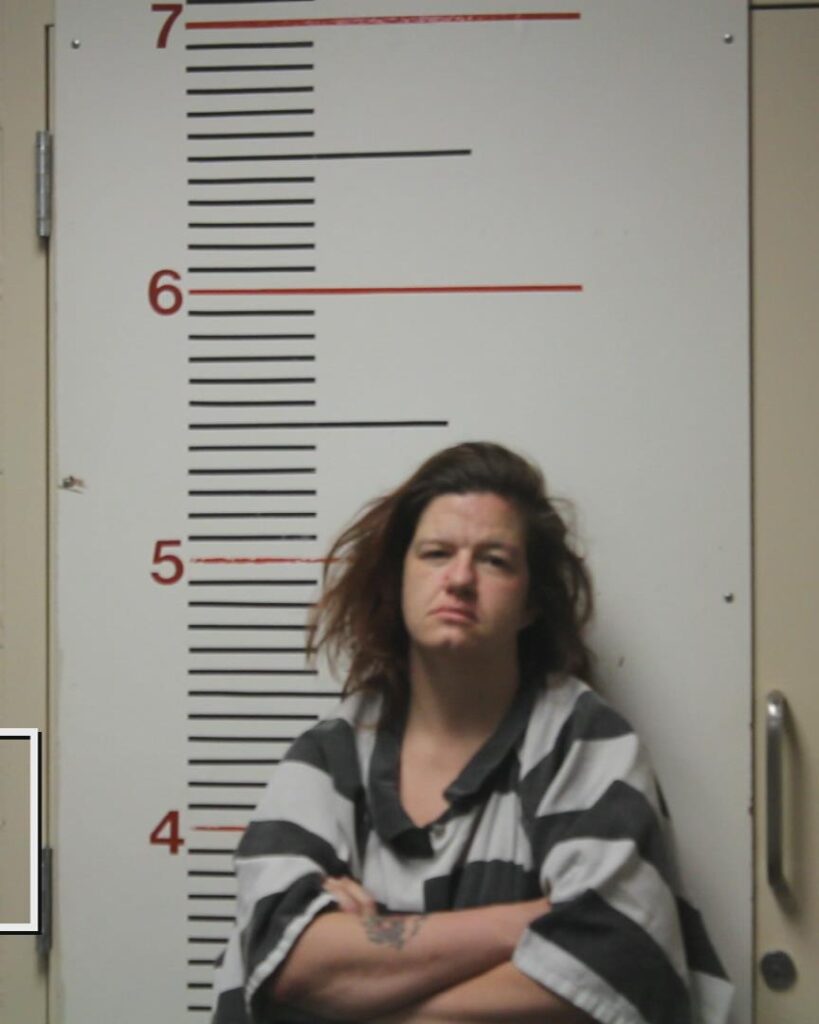 NORSWORTHY, TIFFANY ERIN arrested in Anderson County, Texas mugshot