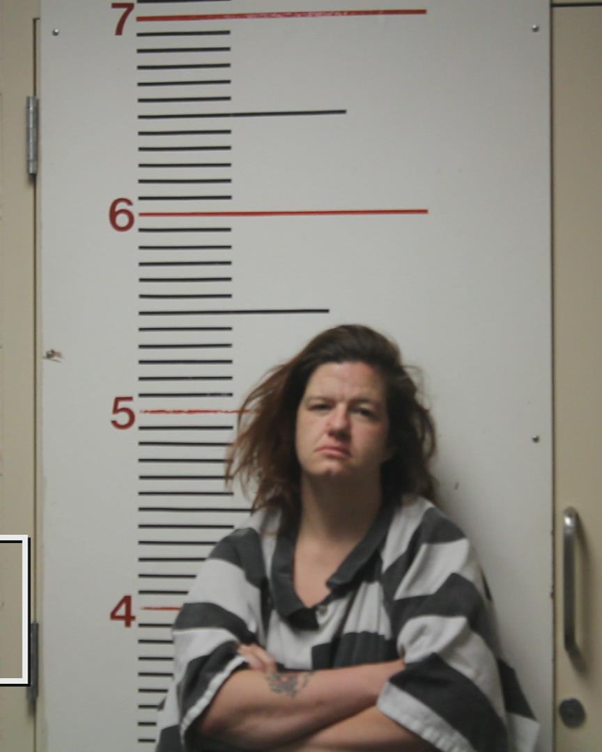 NORSWORTHY, TIFFANY ERIN booking photo