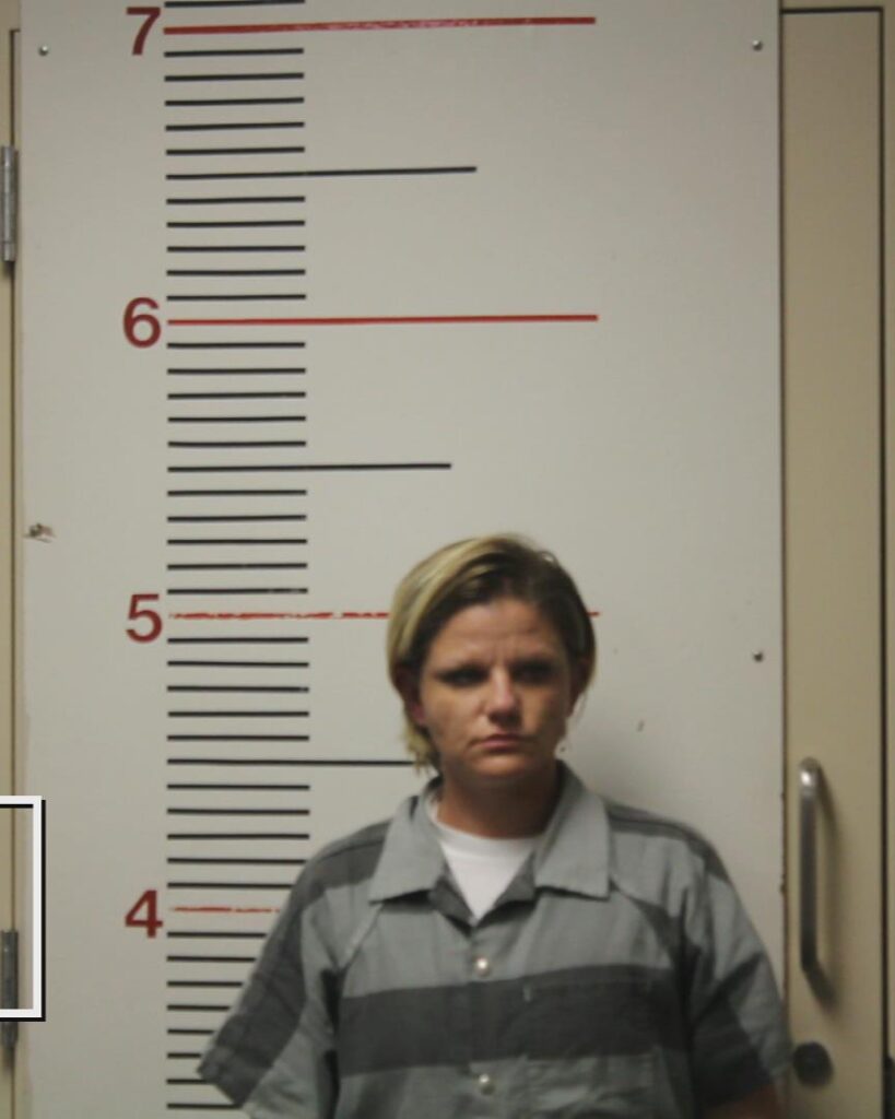ALLEN, ASHLEI DYANA arrested in Anderson County, Texas mugshot