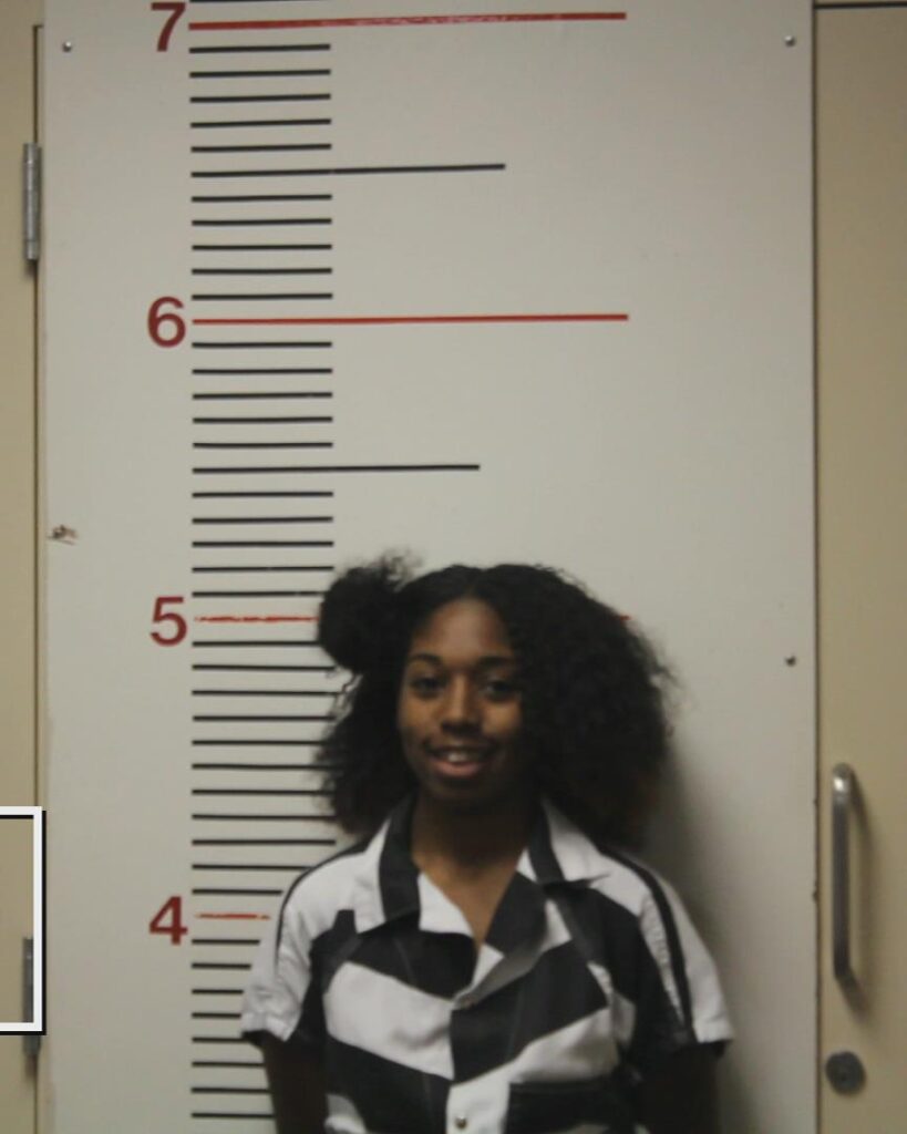 PATRIDGE, ELIZABETH ARMANI arrested in Anderson County, Texas mugshot