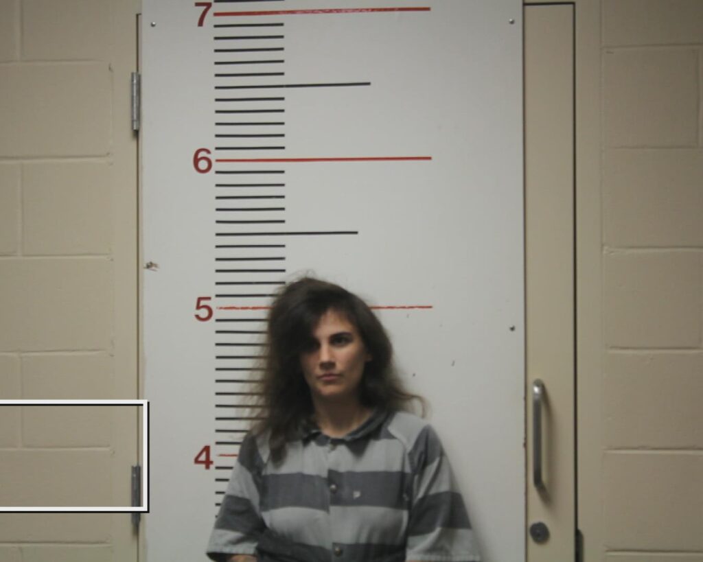 FIELDS, KATI ELIZABETH arrested in Anderson County, Texas mugshot