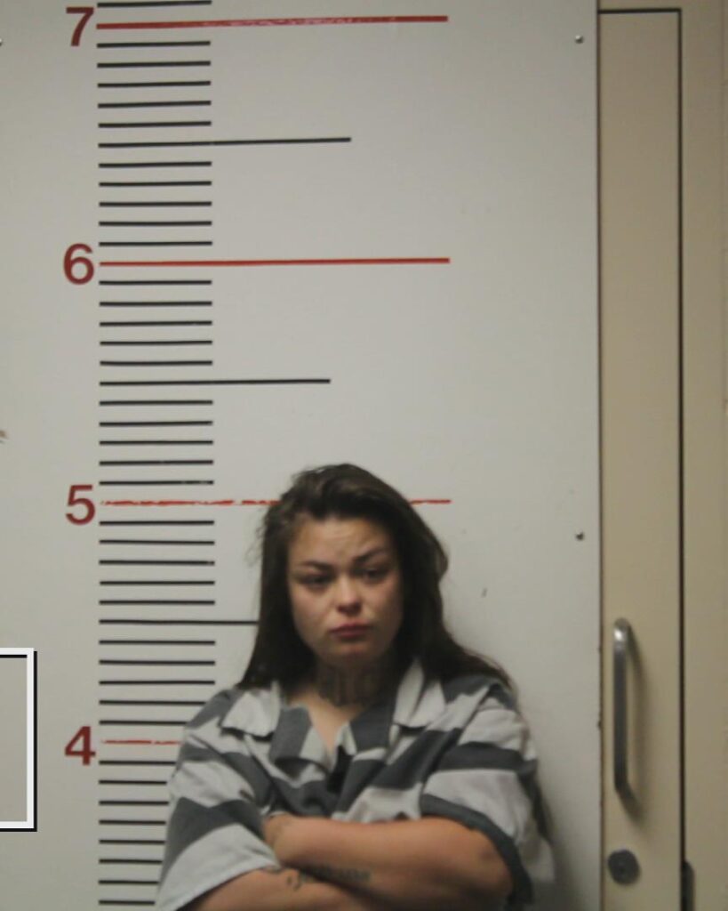 CARTER, HARLEE NICOLE arrested in Anderson County, Texas mugshot