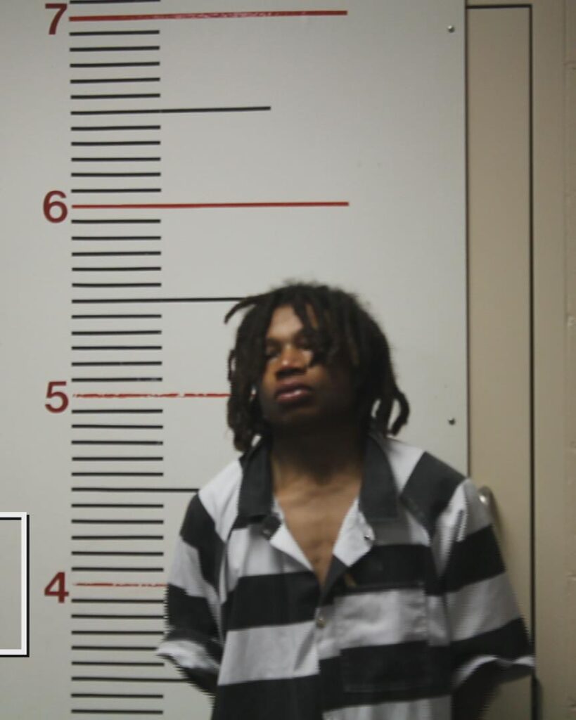 SIMPSON, DE'UNDRE RYKEEM DAMON arrested in Anderson County, Texas mugshot