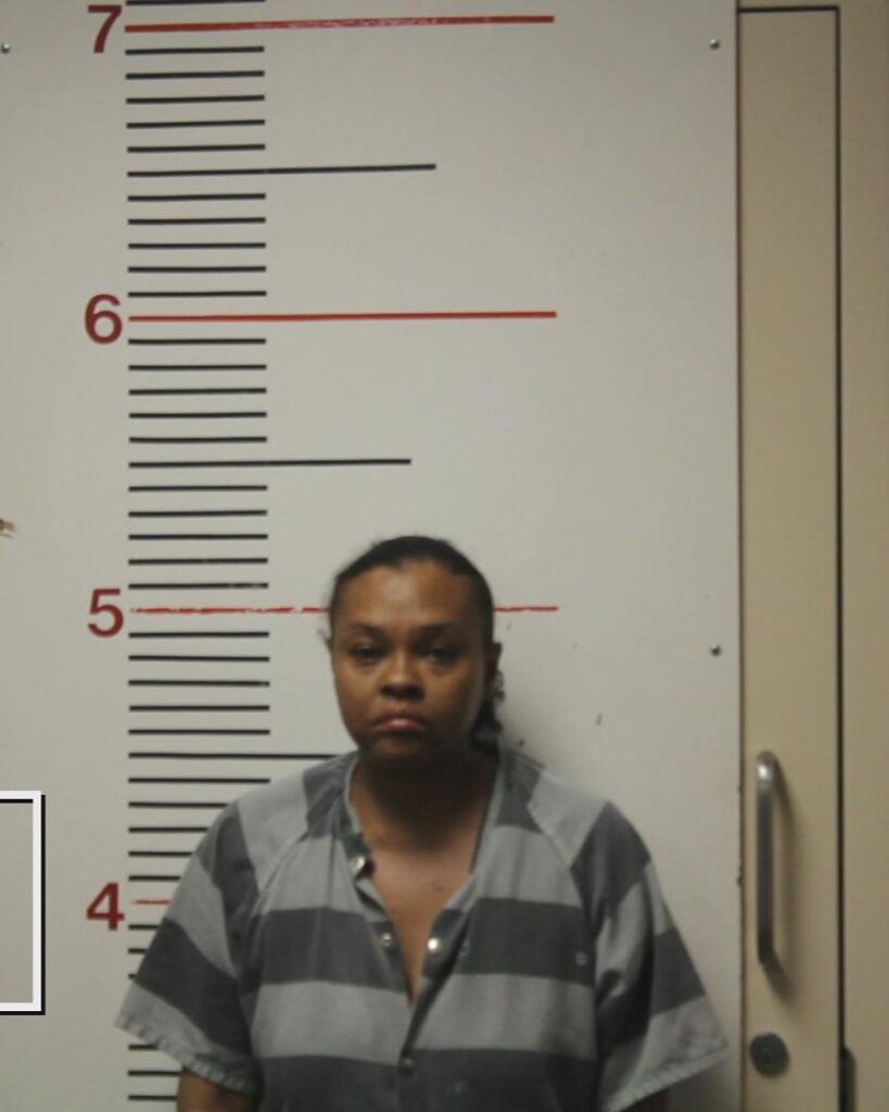 DAVIS, CARLA PATRICE arrested in Anderson County, Texas mugshot