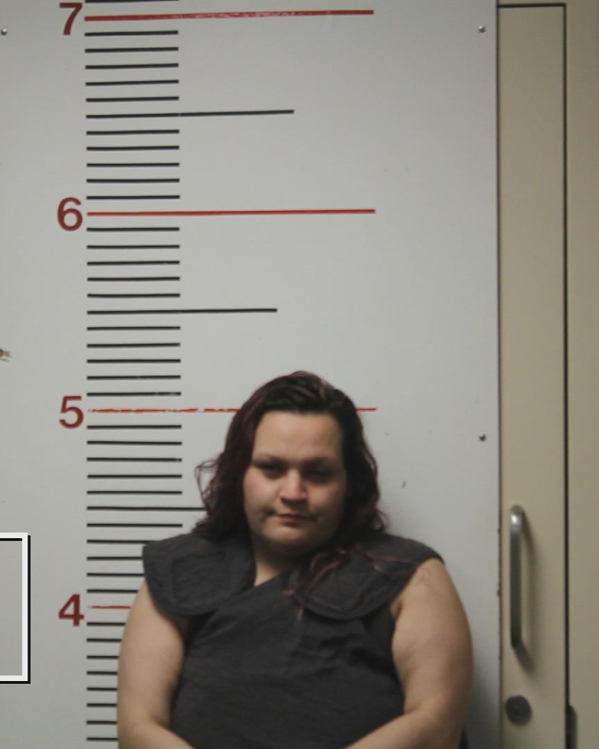 DUNNAM, SARAH LEIGH booking photo