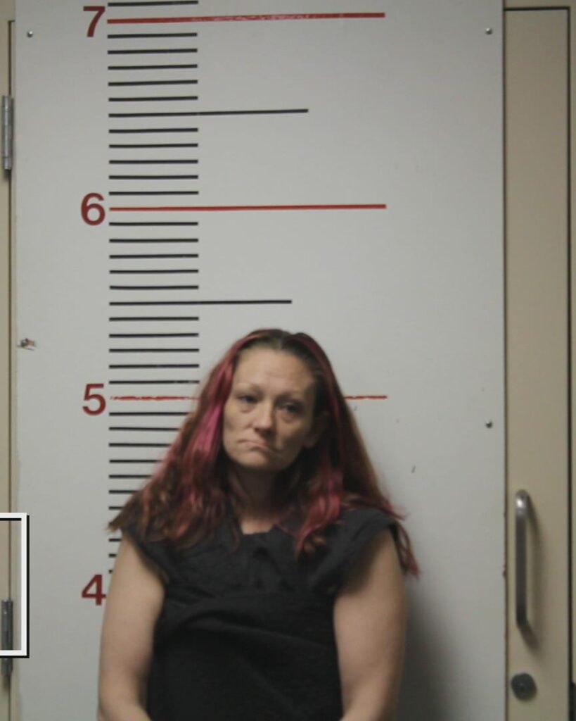 FLOWERS, VICTORIA LYNN arrested in Anderson County, Texas mugshot