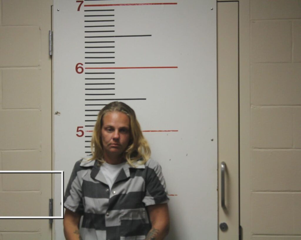 MARTIN, MONTANA CHRISTINE arrested in Anderson County, Texas mugshot