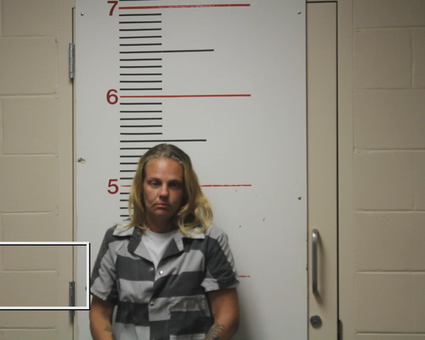 MARTIN, MONTANA CHRISTINE booking photo