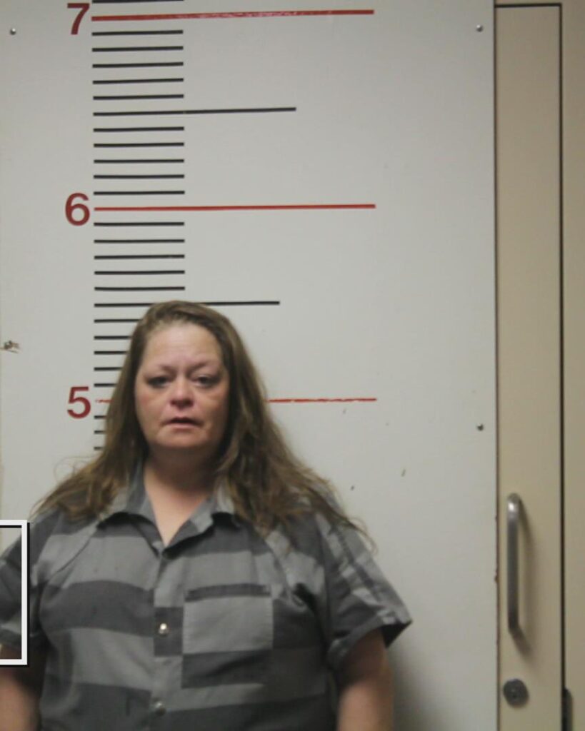 CAMP, KASSIE LYNN arrested in Anderson County, Texas mugshot