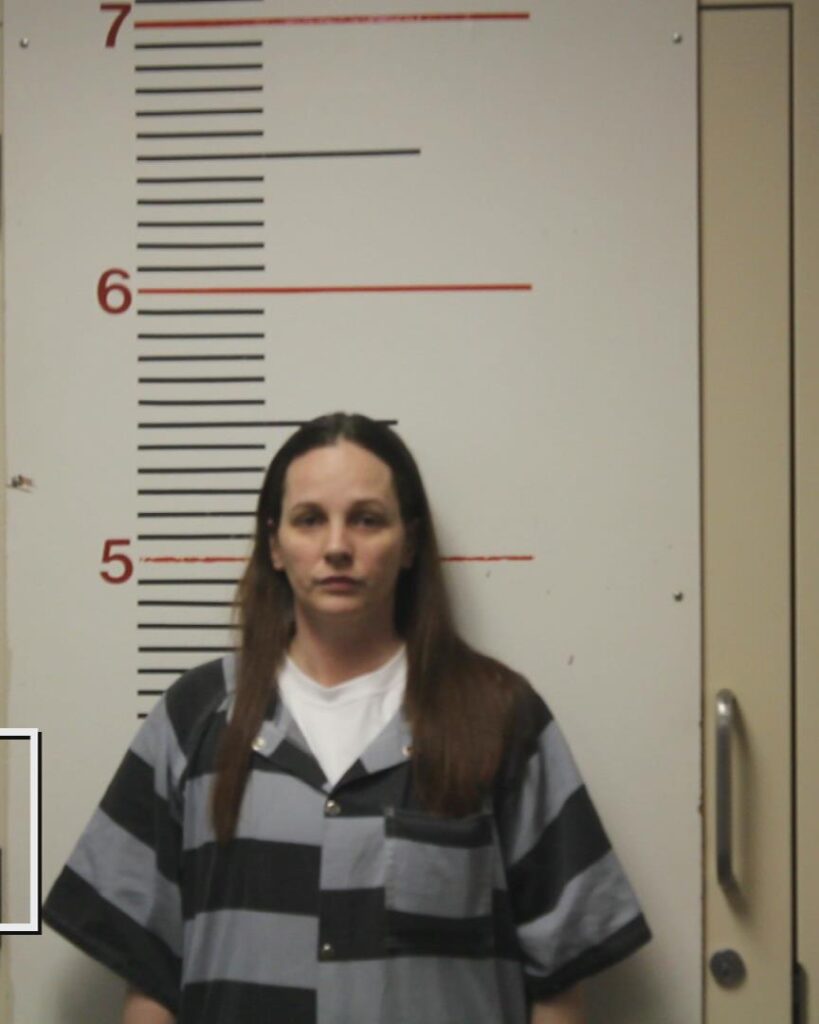 SYBERT, TIFFANIE JILL arrested in Anderson County, Texas mugshot