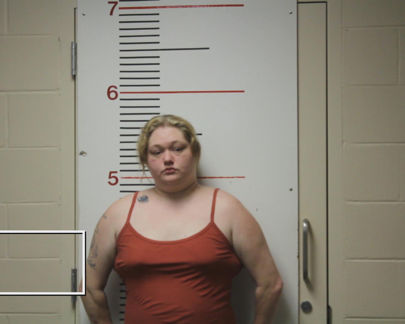 HAND, KRISTINE booking photo