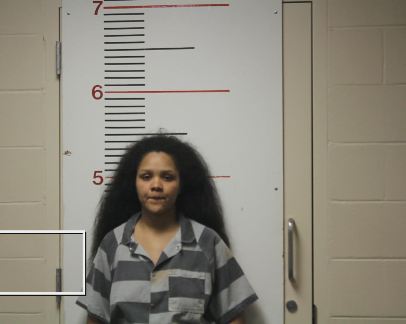 SANDLES, LEECIA RESHONDA booking photo