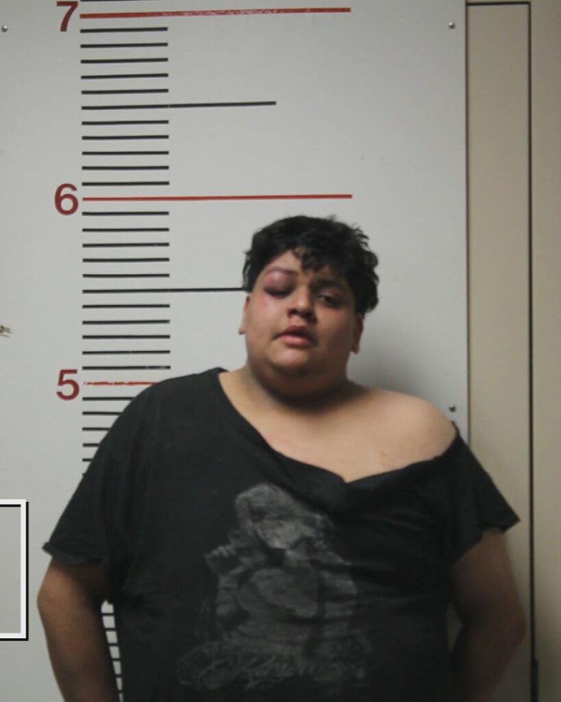 ESTRADA, DIEGO, Jr. arrested in Anderson County, Texas mugshot