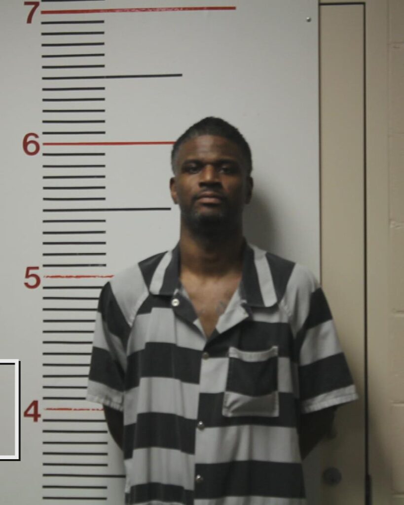 MICKENS, LEON JERMANE arrested in Anderson County, Texas mugshot