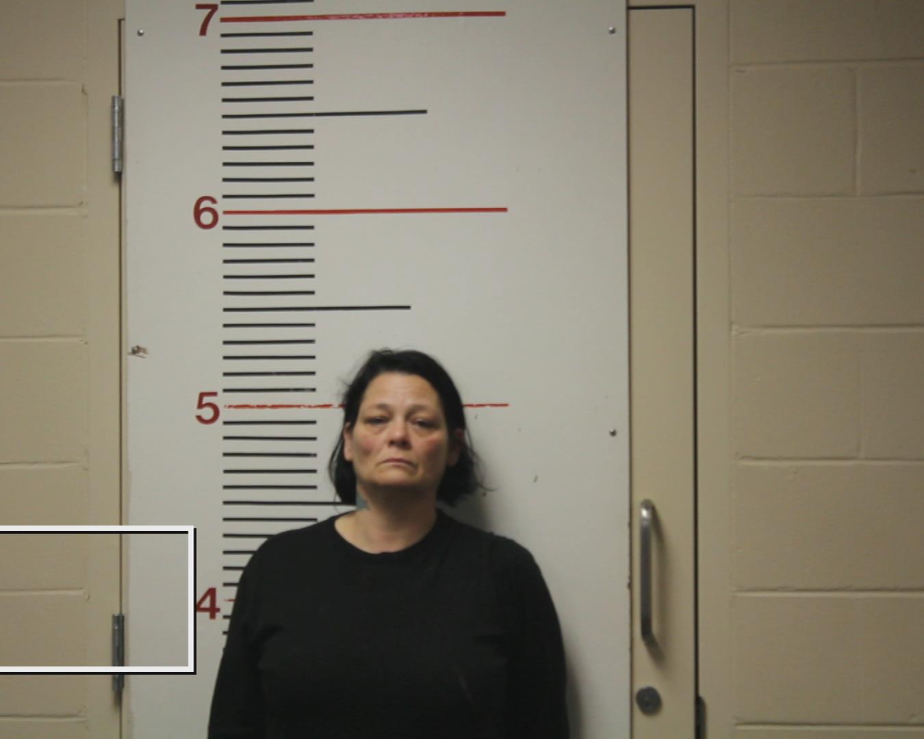 BALLARD, TRACY DAWN booking photo