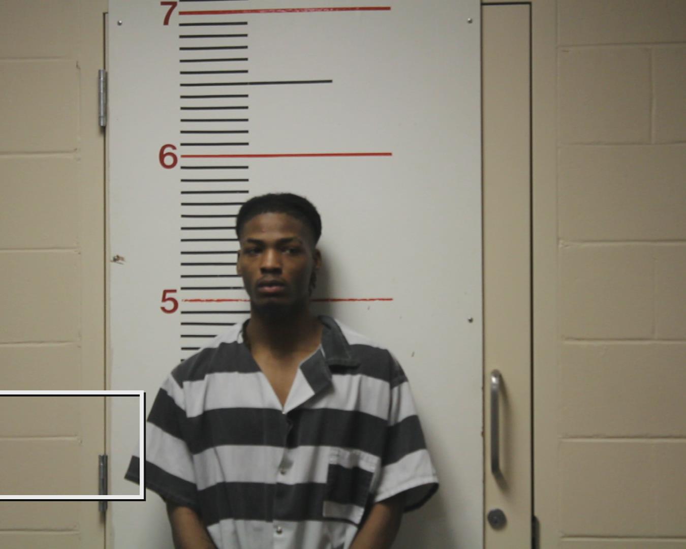 GARDNER, TRISHTOHN booking photo