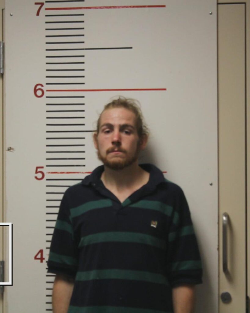 PEDERSEN, WALTER JAMES arrested in Anderson County, Texas mugshot