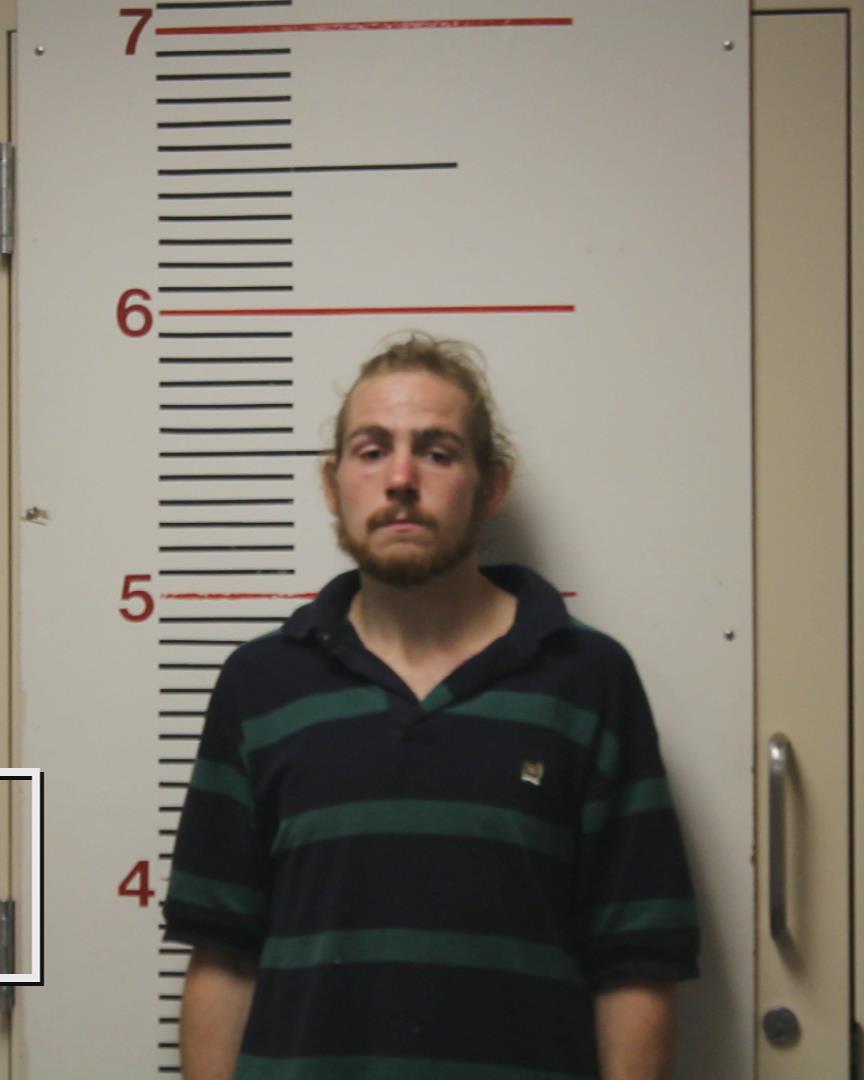 PEDERSEN, WALTER JAMES booking photo