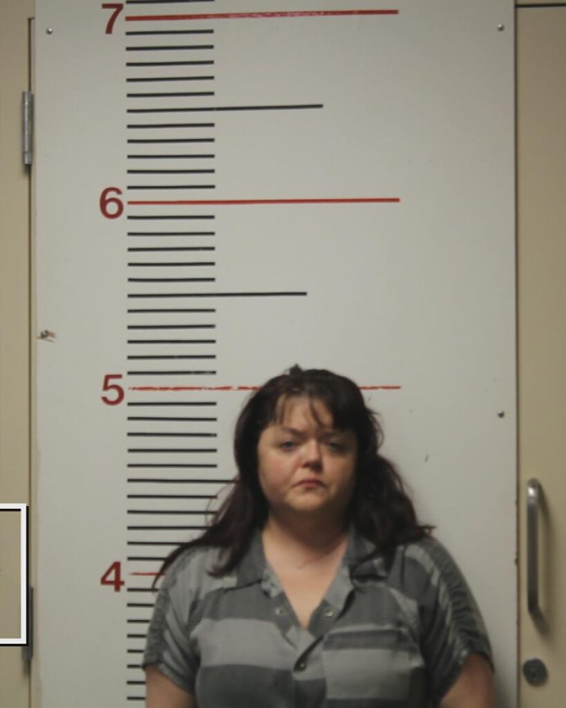 Manker, Katherine Denise arrested in Anderson County, Texas mugshot