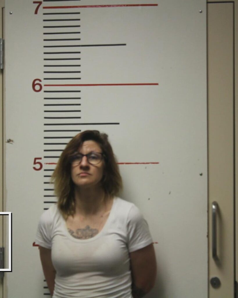 GOMEZ, BAILI SHEA arrested in Anderson County, Texas mugshot