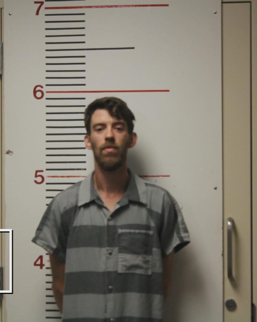 WILSON, JUSTIN CADE arrested in Anderson County, Texas mugshot