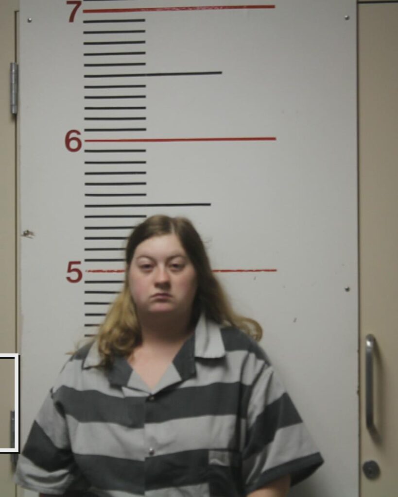 SEARS, BRITTANY LEANN arrested in Anderson County, Texas mugshot