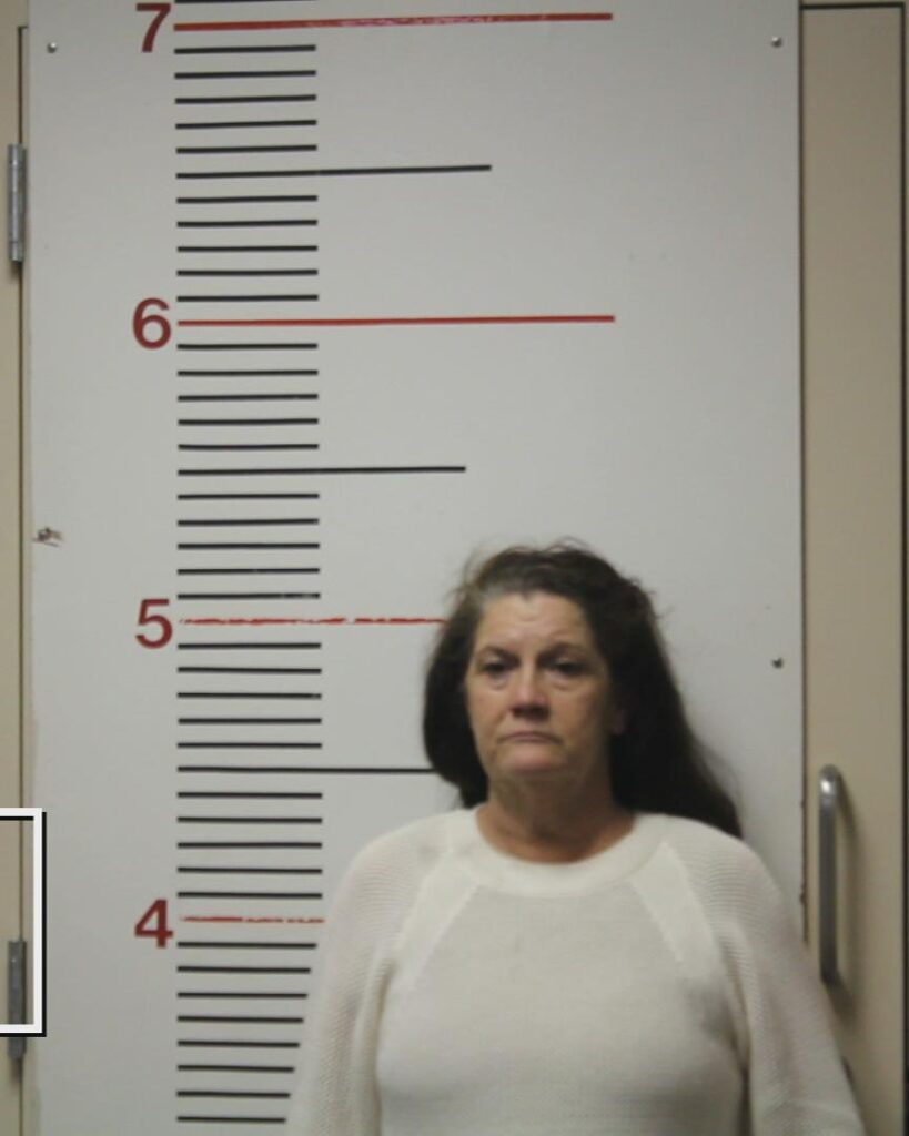 BOSTIC, MELINDA LEE arrested in Anderson County, Texas mugshot
