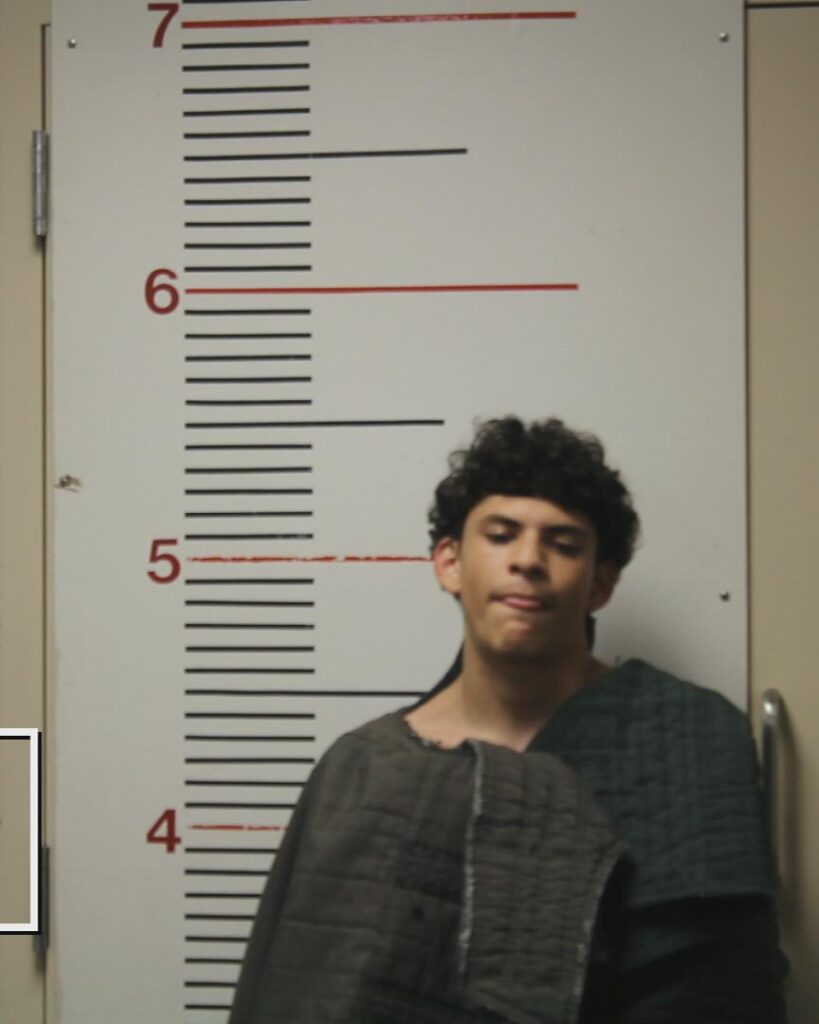 SIMIEN, DAIMEAN JON arrested in Anderson County, Texas mugshot