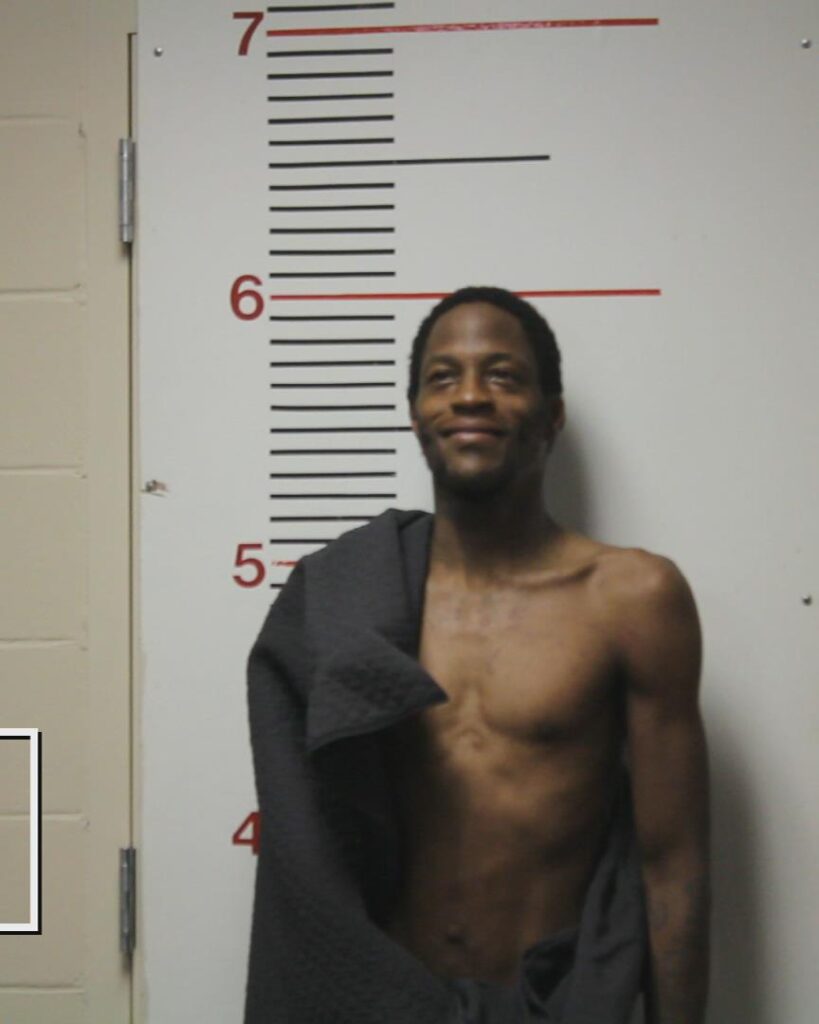 LOTT, ERNEST DESHAY, Jr. arrested in Anderson County, Texas mugshot