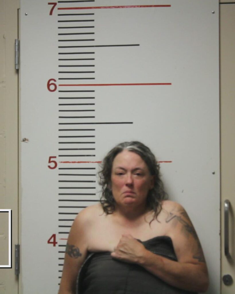 SENNETT, LOUISA MAE arrested in Anderson County, Texas mugshot