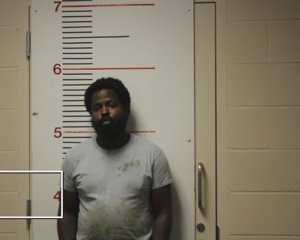 FARRIS, JOSHUA DENZEL arrested in Anderson County, Texas mugshot
