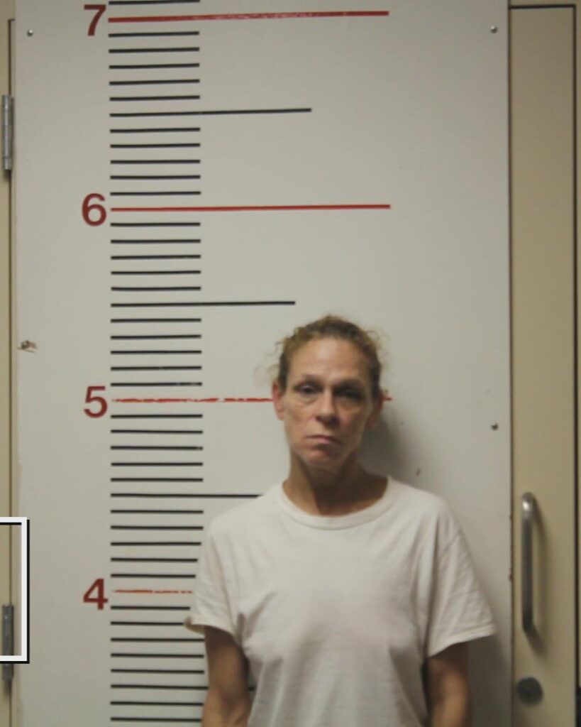 PAYNE, ANGELA R. arrested in Anderson County, Texas mugshot
