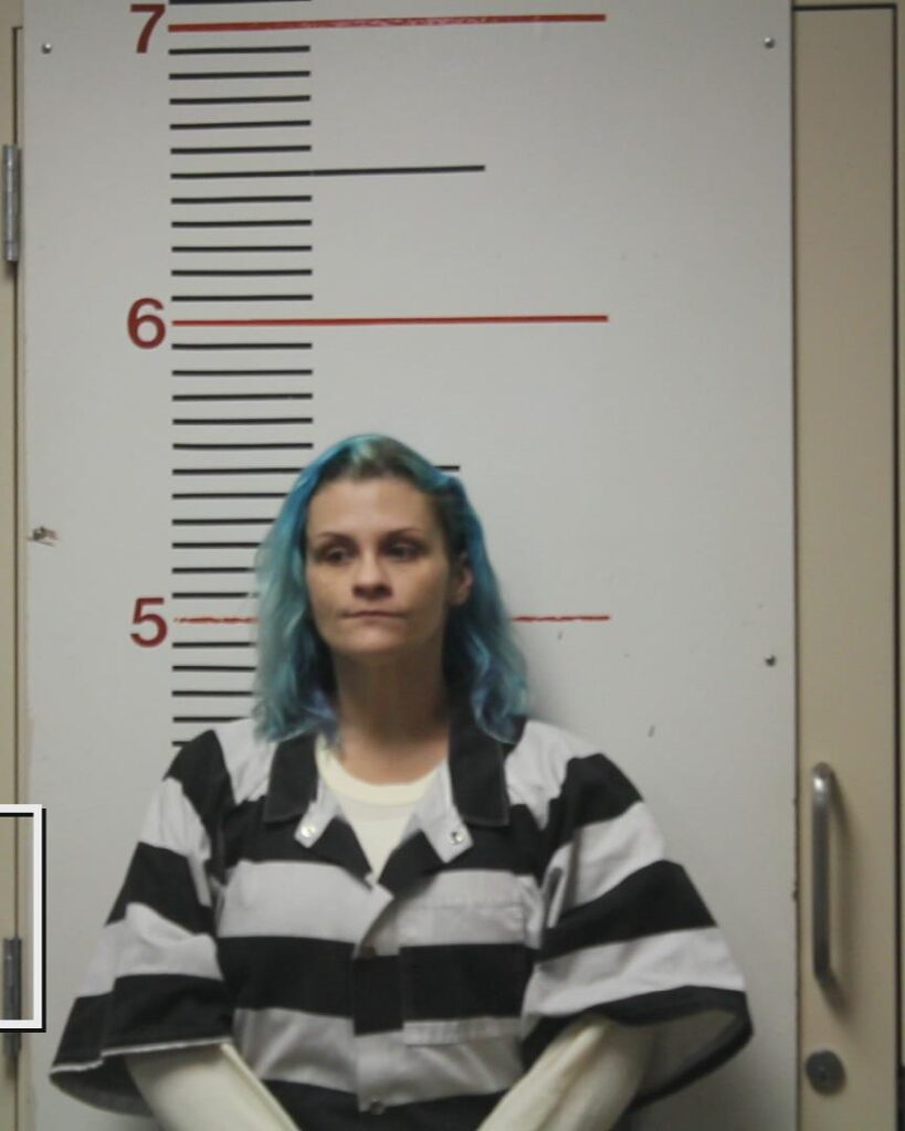 KING, ANITA MAE arrested in Anderson County, Texas mugshot