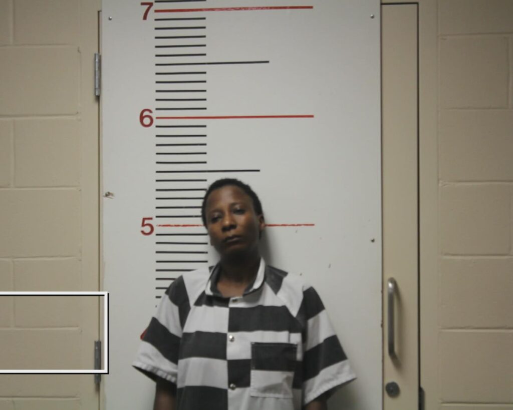 Olawoore, Kehinde Abisola arrested in Anderson County, Texas mugshot