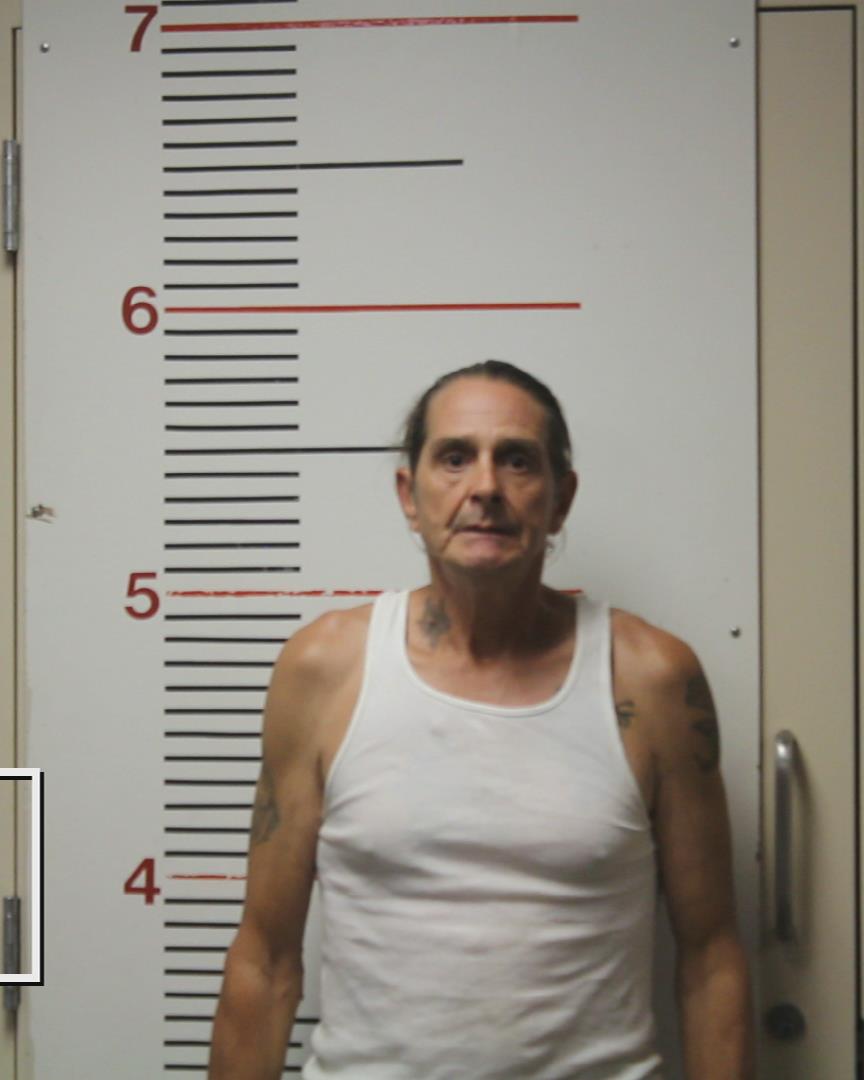 GOLDSBOROUGH, SHAWN LEE booking photo