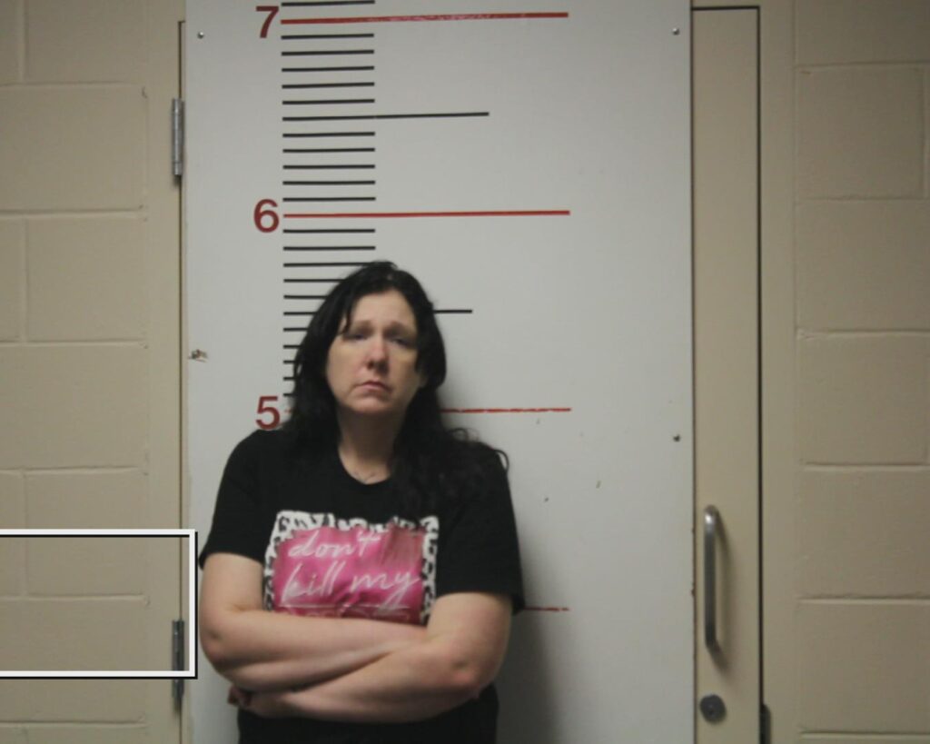 LEWIS, DETRIA ANN arrested in Anderson County, Texas mugshot