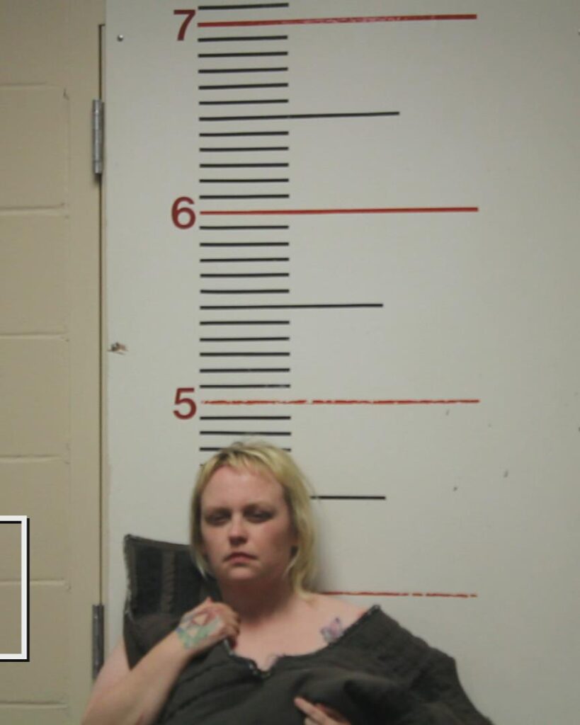 PETERSON, Taylor LAUREN arrested in Anderson County, Texas mugshot