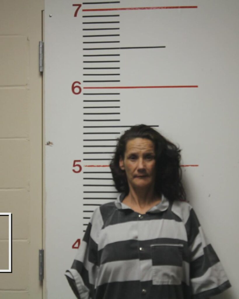 MANNING, DARLENE arrested in Anderson County, Texas mugshot