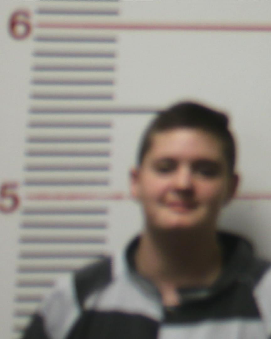 BRIX, CAROLINE VICTORIA booking photo