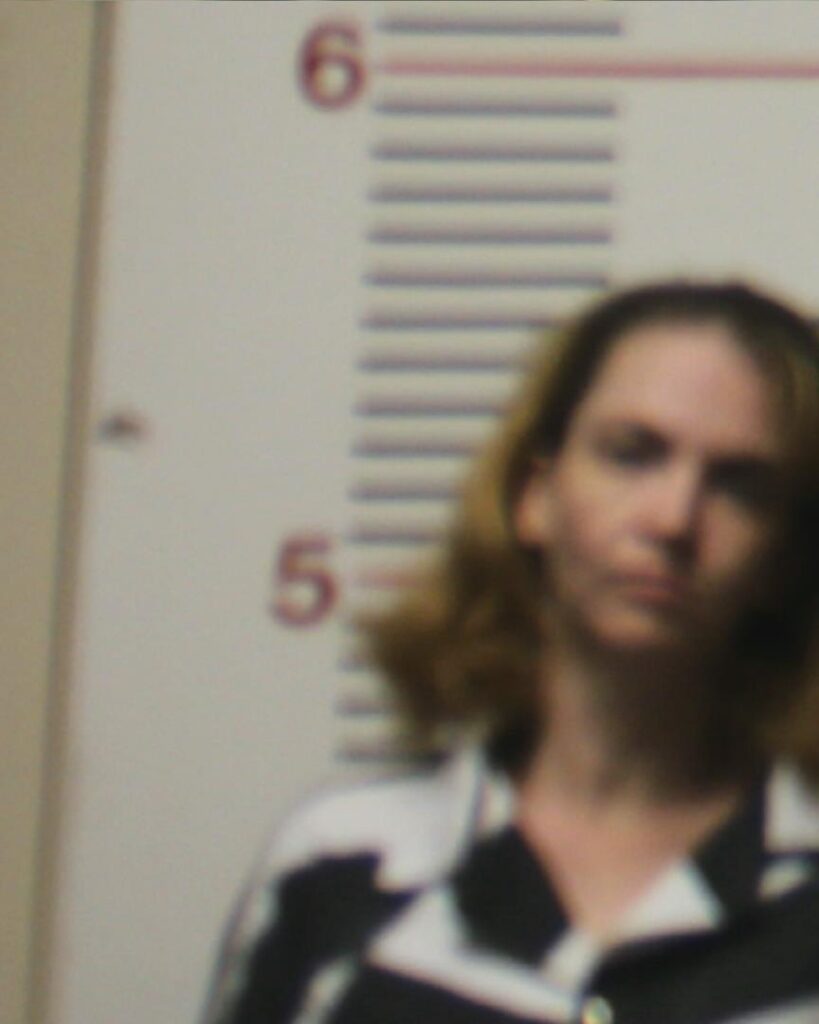 BURFORD, TABITHA ANNE arrested in Anderson County, Texas mugshot