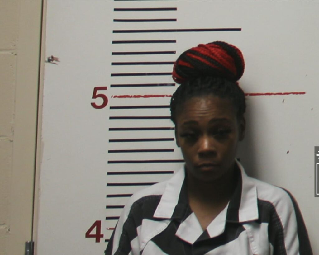 HILL, ASHLEY DENISE arrested in Anderson County, Texas mugshot
