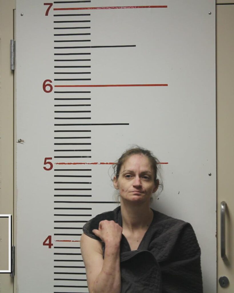HUFF, TRACEY LYNN arrested in Anderson County, Texas mugshot