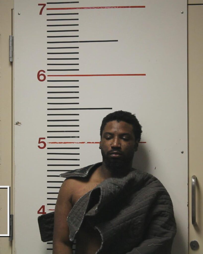 BRYANT, DERICK DERNELL, Jr. arrested in Anderson County, Texas mugshot
