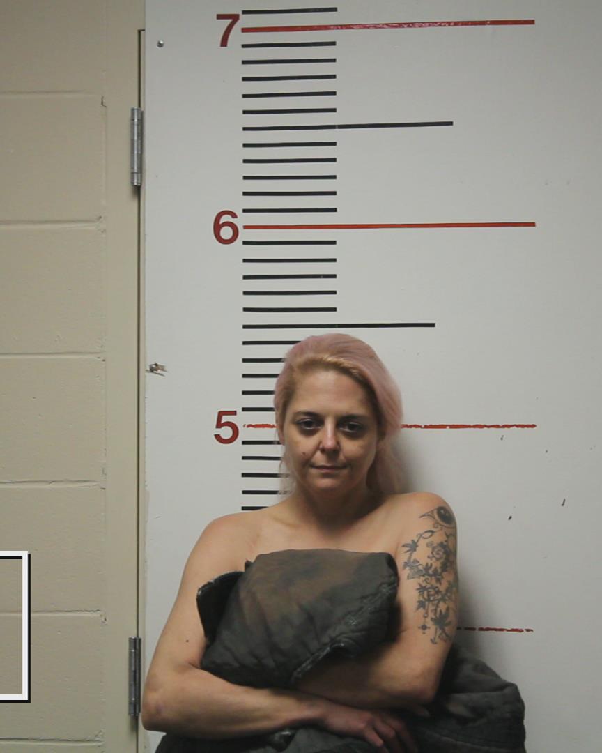 BRUMLEY, ARISTA GAYLE booking photo