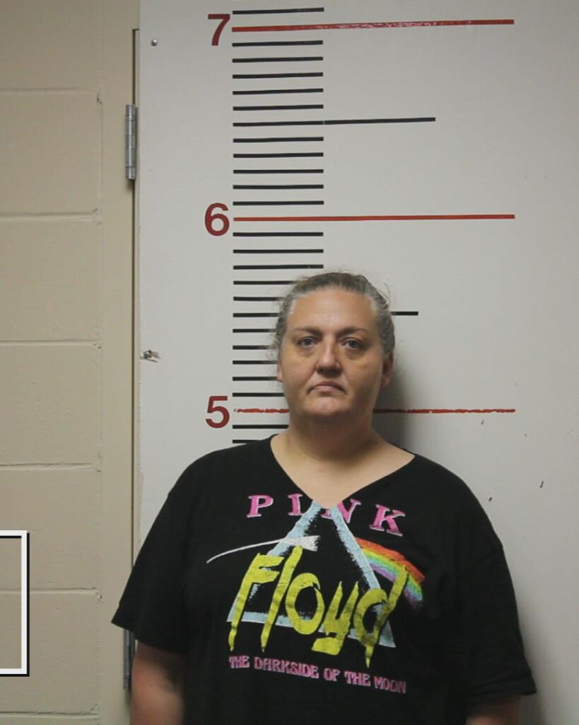 CARLILE, REBECCA DENISE arrested in Anderson County, Texas mugshot