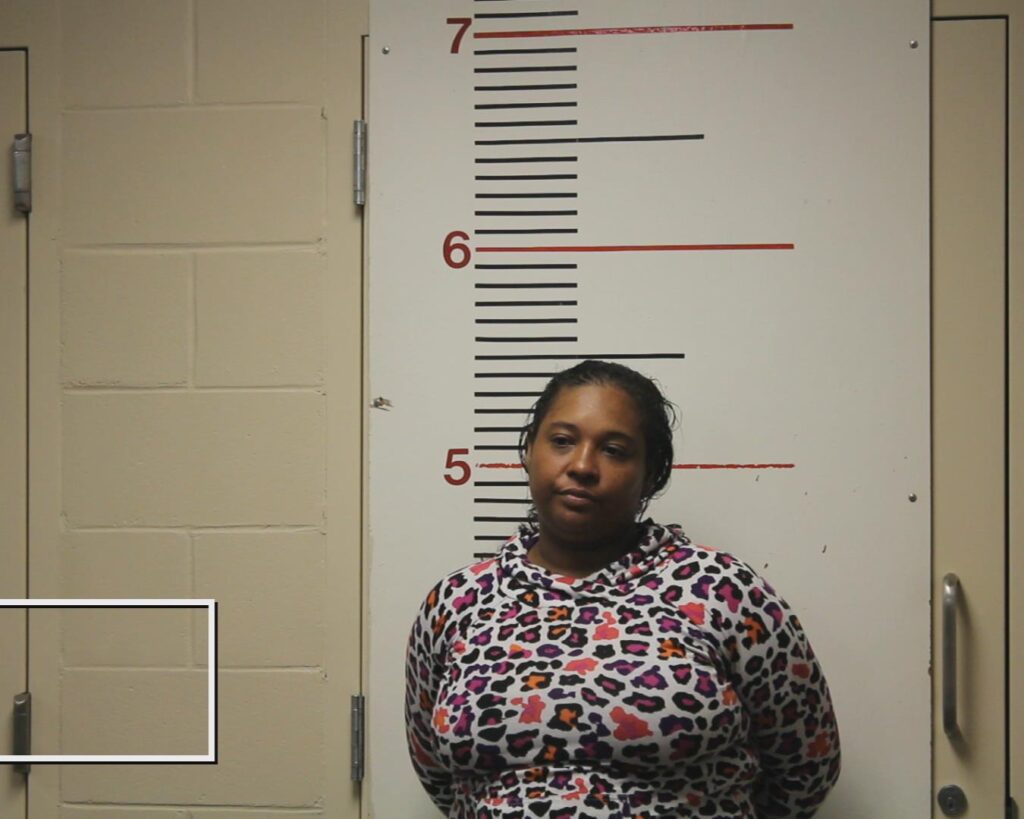 CRUZ, EMMITHA MARIE arrested in Anderson County, Texas mugshot