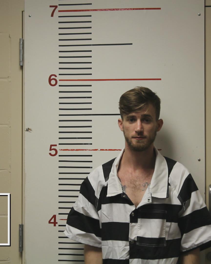 LING, DAMIAN DAKOTA booking photo